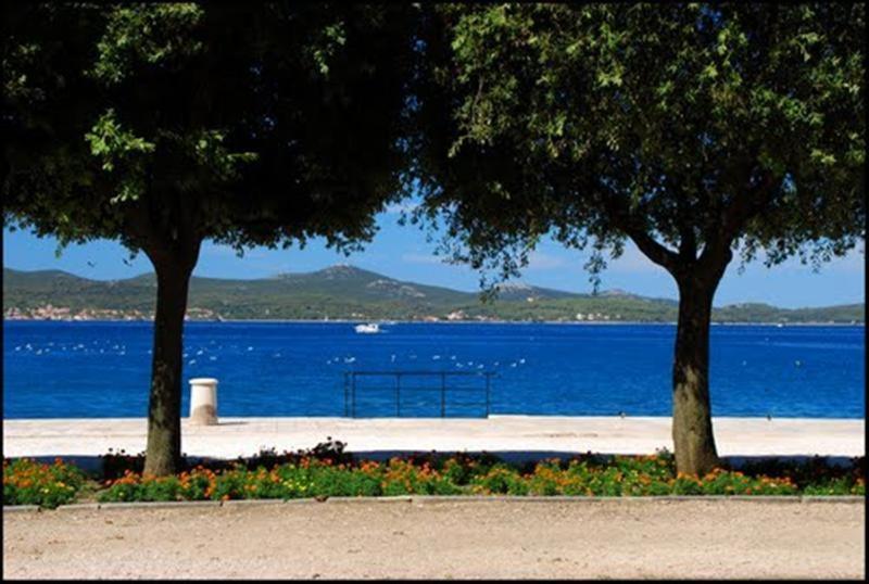 Guest Accommodation Neno Zadar Extérieur photo